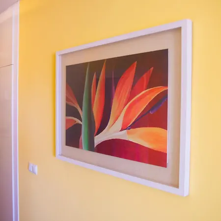 Appartement Ocean View Or426 *