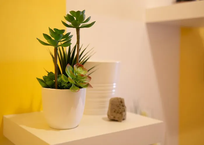 Appartement Ocean View Or426