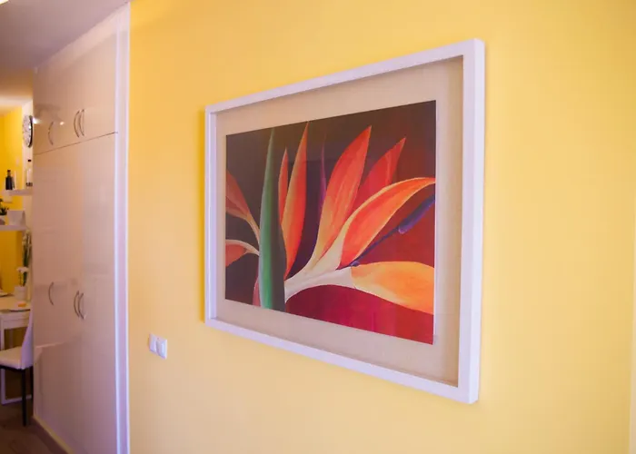 Lejlighed Ocean View Or426 *